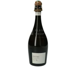 Champagne Crucifix Epitre Extra Brut 2019 - Blanc de Noirs 75 cl