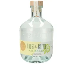 Citrus Gin Ghost in a Bottle 70 cl