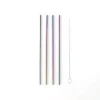 Metalen Cocktail Rietjes Regenboog 21,5cm - Herbruikbaar
