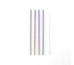 Metalen Cocktail Rietjes Regenboog 21,5cm - Herbruikbaar