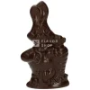 Paashaas - Pure Chocolade 150 g - 19 cm