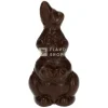 Paashaas - Pure Chocolade 55 g